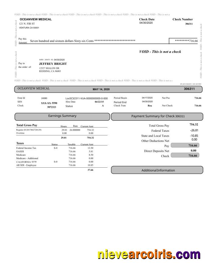 Oceanview Medical Paystub